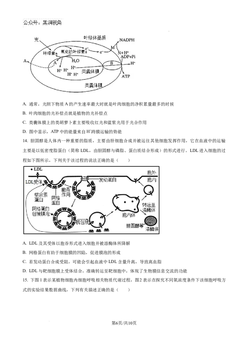 江西省宜春市丰城市第九中学2024-2025学年高三上学期第一次段考生物_2024-2025高三（6-6月题库）_2024年10月试卷_1026江西省宜春市丰城市第九中学2024-2025学年高三上学期第一次段考（全）