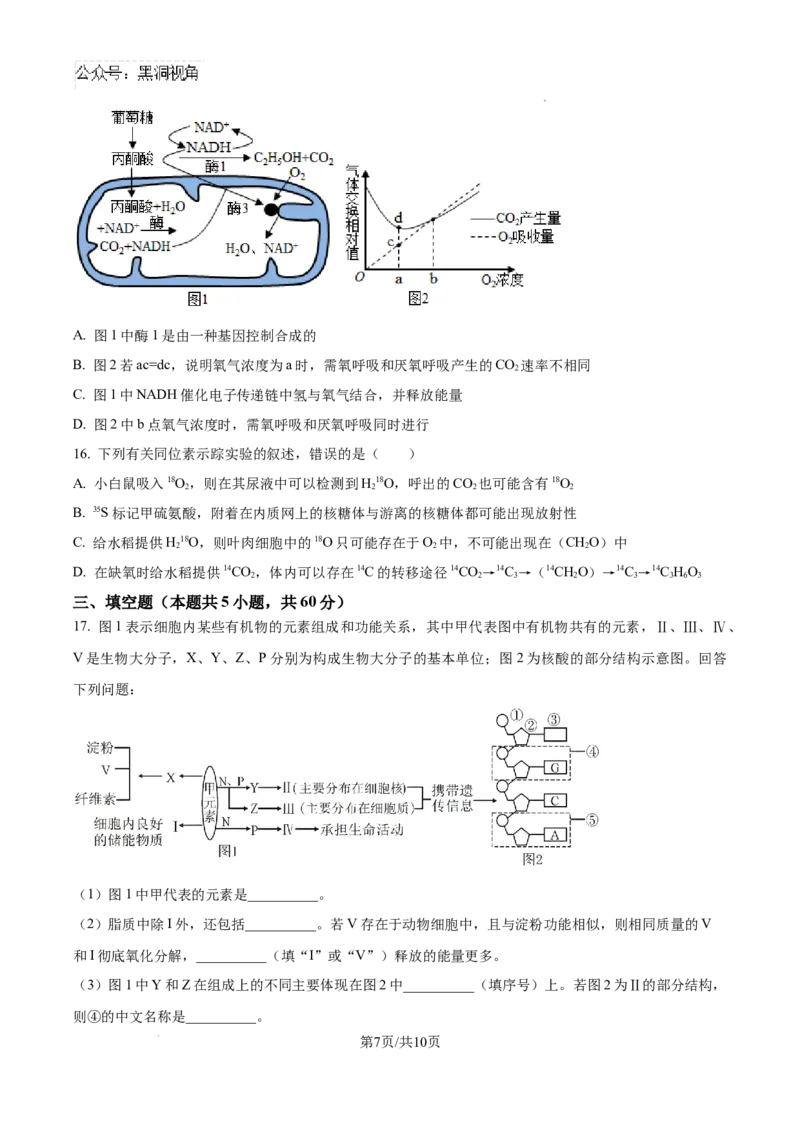 江西省宜春市丰城市第九中学2024-2025学年高三上学期第一次段考生物_2024-2025高三（6-6月题库）_2024年10月试卷_1026江西省宜春市丰城市第九中学2024-2025学年高三上学期第一次段考（全）