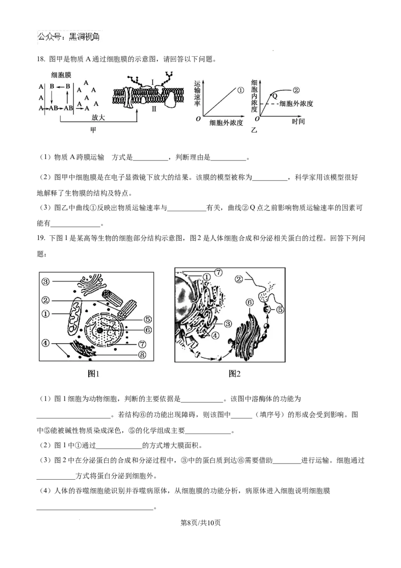 江西省宜春市丰城市第九中学2024-2025学年高三上学期第一次段考生物_2024-2025高三（6-6月题库）_2024年10月试卷_1026江西省宜春市丰城市第九中学2024-2025学年高三上学期第一次段考（全）