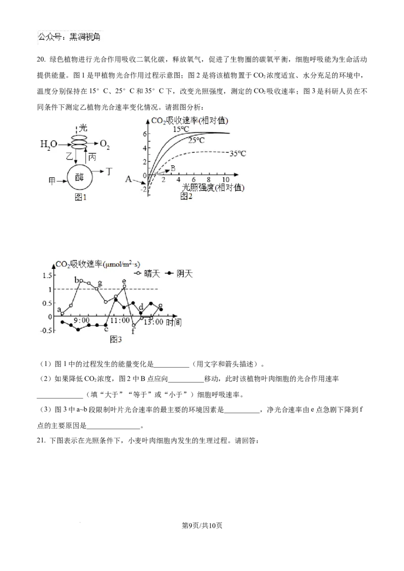 江西省宜春市丰城市第九中学2024-2025学年高三上学期第一次段考生物_2024-2025高三（6-6月题库）_2024年10月试卷_1026江西省宜春市丰城市第九中学2024-2025学年高三上学期第一次段考（全）