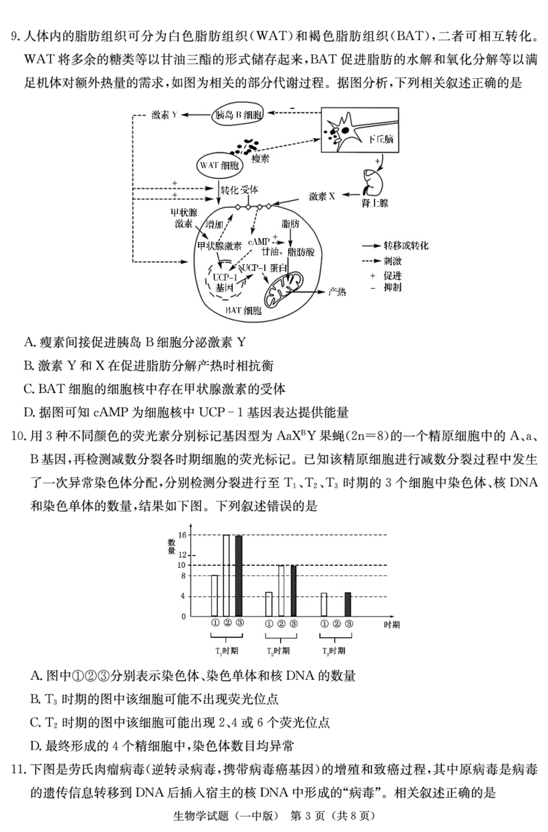 生物演练卷（一中高三二模）_2024年5月_01按日期_23号_2024届湖南省长沙一中高三下学期模拟试卷（二）_2024届湖南省长沙市第一中学高三下学期模拟试卷（二）生物试题