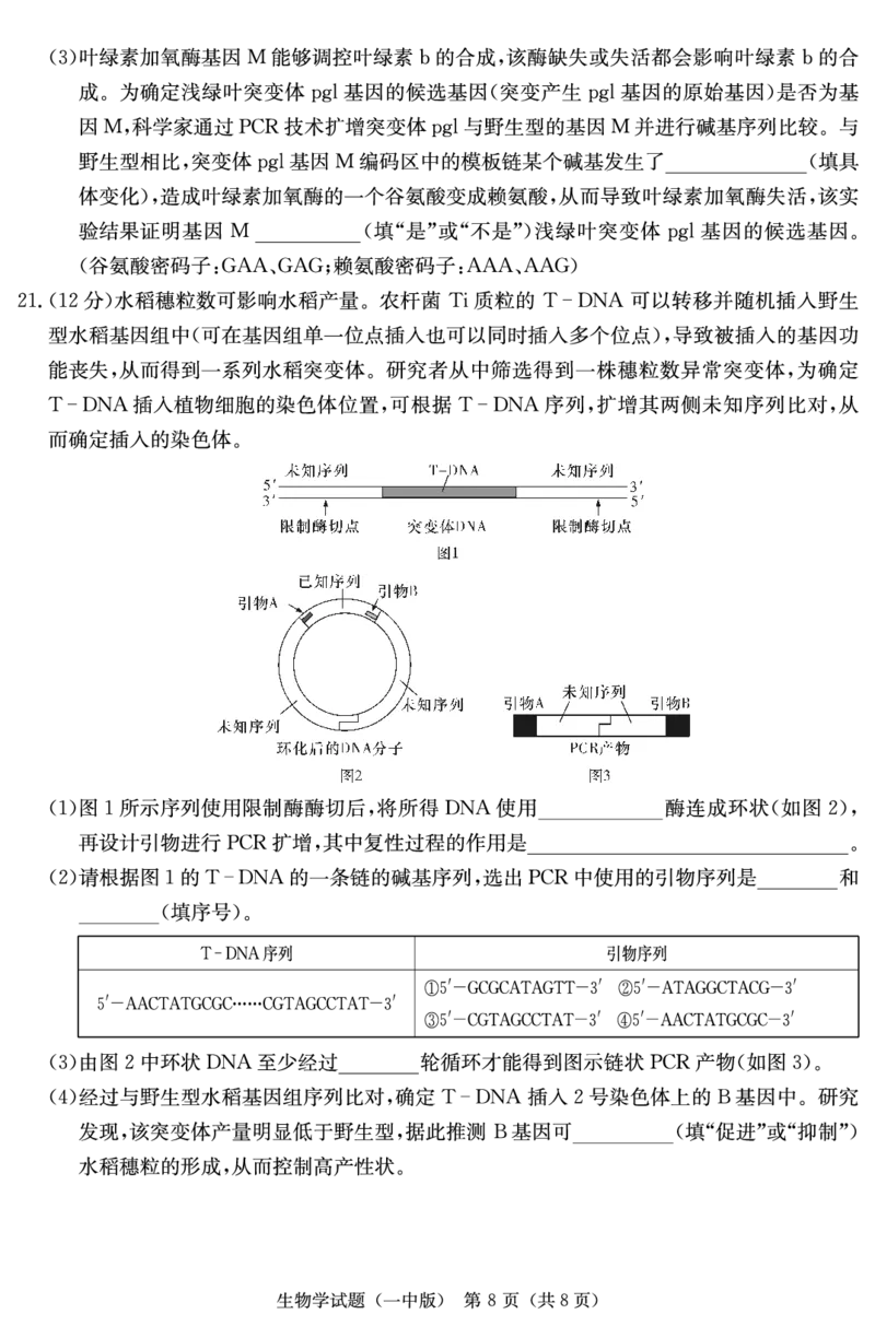 生物演练卷（一中高三二模）_2024年5月_01按日期_23号_2024届湖南省长沙一中高三下学期模拟试卷（二）_2024届湖南省长沙市第一中学高三下学期模拟试卷（二）生物试题