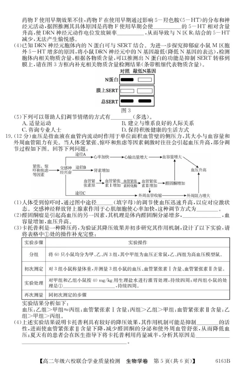 广东省六校2025-2026学年高二上学期联合学业质量检测生物试题_251215广东省六校2025-2026学年高二上学期12月联合学业质量检测（全）