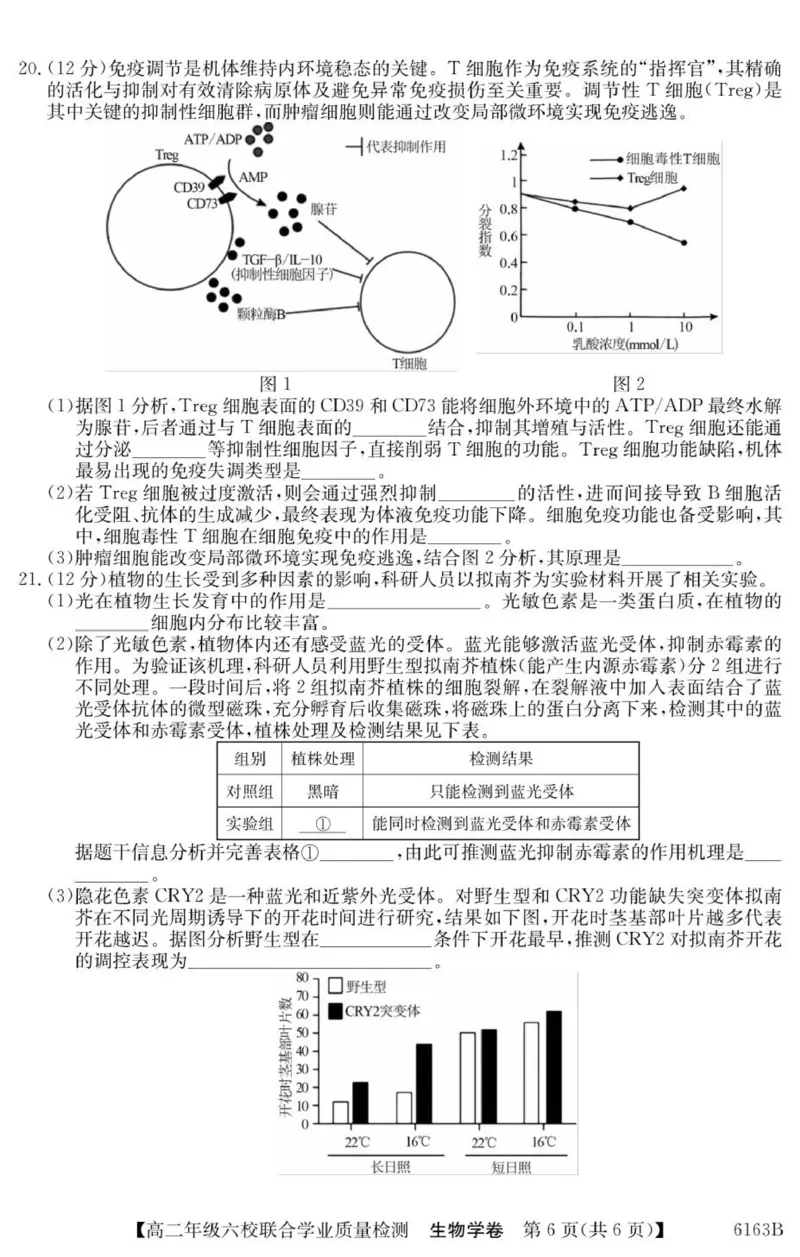 广东省六校2025-2026学年高二上学期联合学业质量检测生物试题_251215广东省六校2025-2026学年高二上学期12月联合学业质量检测（全）