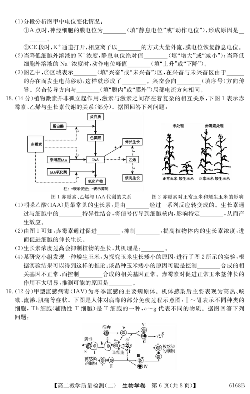 6168B生物学（8页）_251227纵千文化&middot;广东省2025～2026学年度第一学期八校联盟高二教学质量检测（二）（6168B）（全）