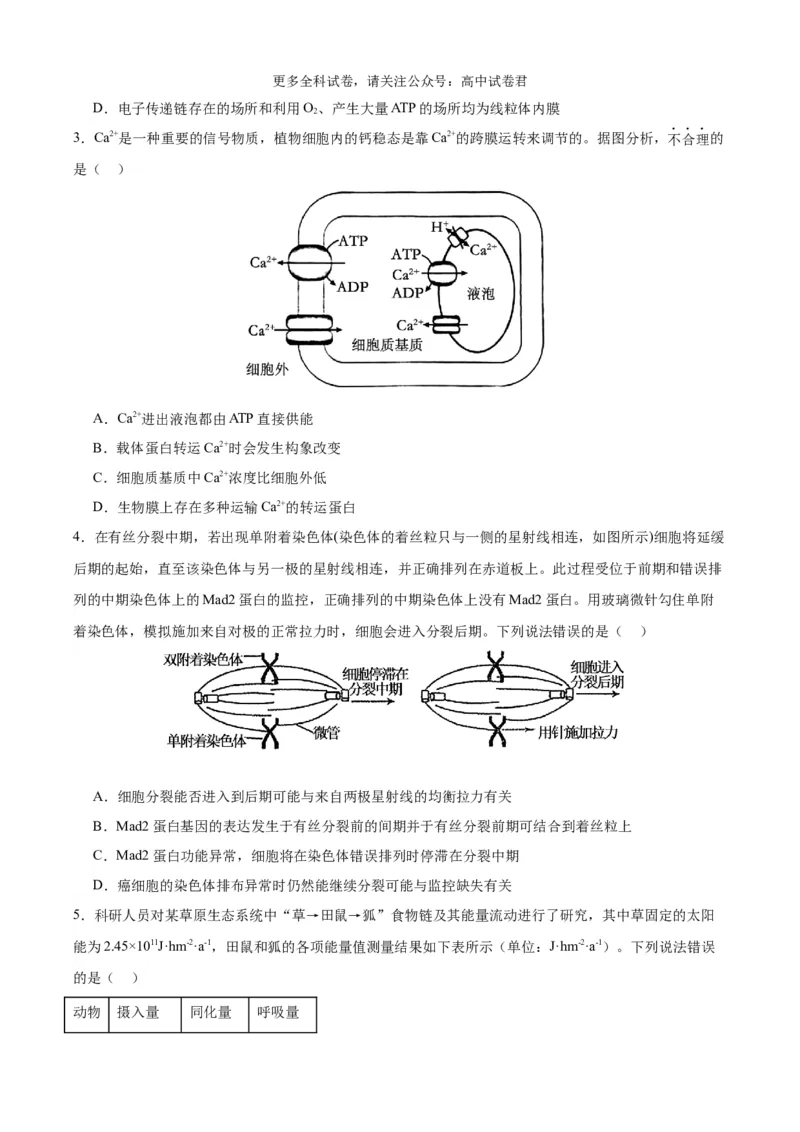 生物（九省联考考后提升卷，安徽卷）（原卷版）_2024年4月_其他_2024年1月新&ldquo;九省联考&rdquo;考后提升卷（原卷+解析）_2024年1月&ldquo;九省联考&rdquo;生物真题完全解读与考后提升
