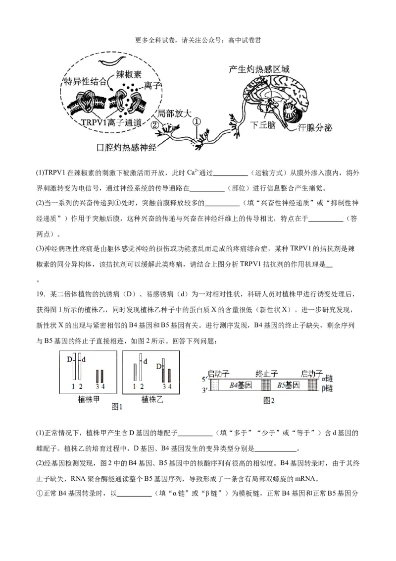 生物（九省联考考后提升卷，安徽卷）（原卷版）_2024年4月_其他_2024年1月新&ldquo;九省联考&rdquo;考后提升卷（原卷+解析）_2024年1月&ldquo;九省联考&rdquo;生物真题完全解读与考后提升