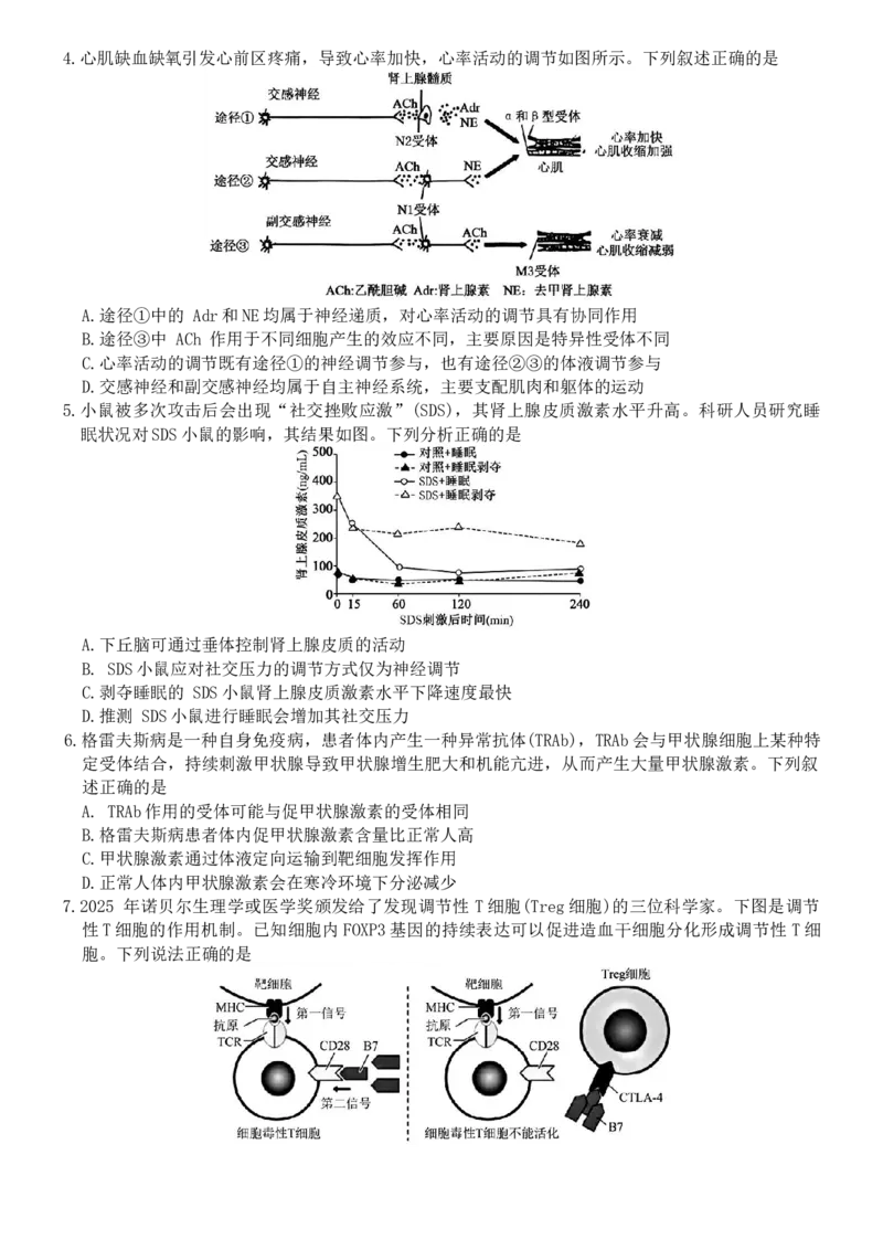 河北省强基联盟2025-2026学年高二上学期12月期中生物试题（含答案）_251217河北省强基联盟2025-2026学年高二上学期12月期中（全）