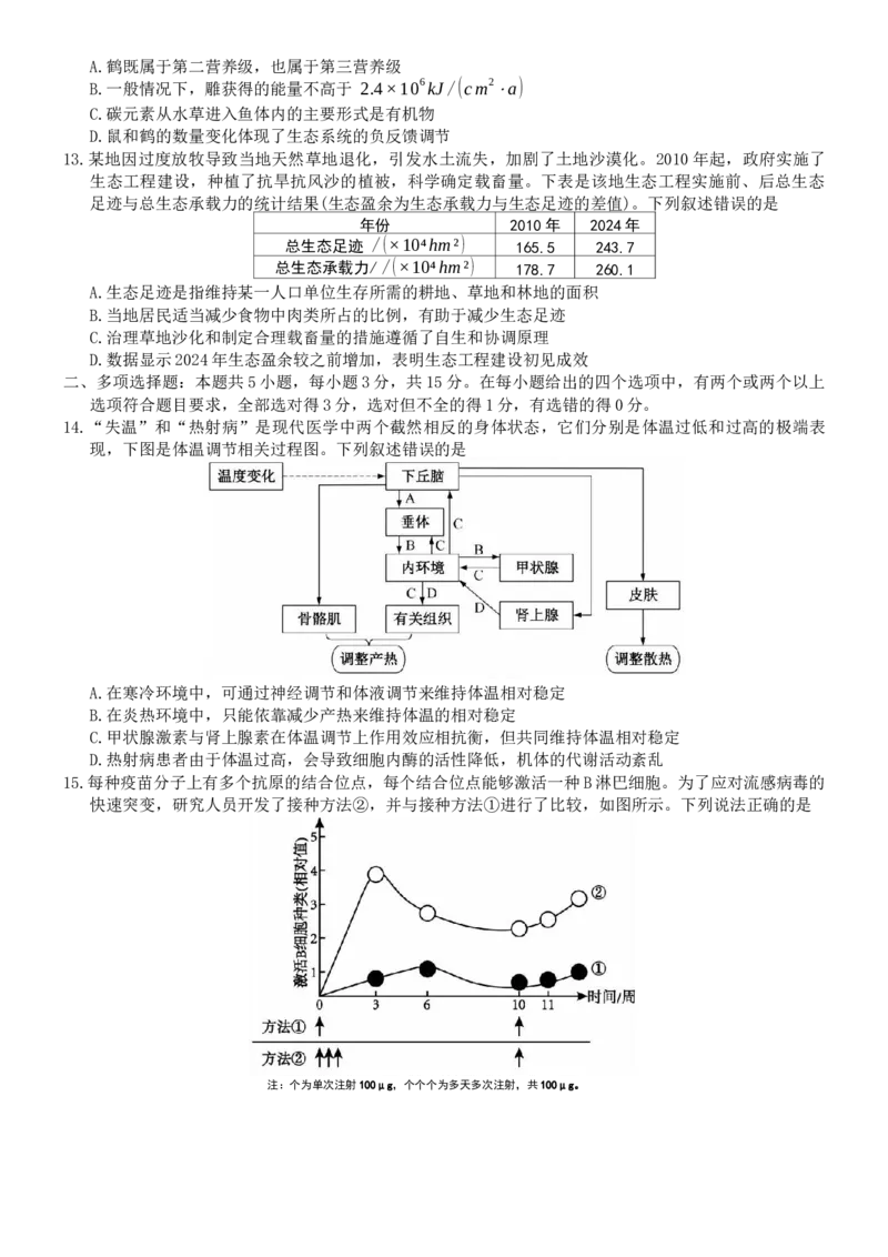河北省强基联盟2025-2026学年高二上学期12月期中生物试题（含答案）_251217河北省强基联盟2025-2026学年高二上学期12月期中（全）