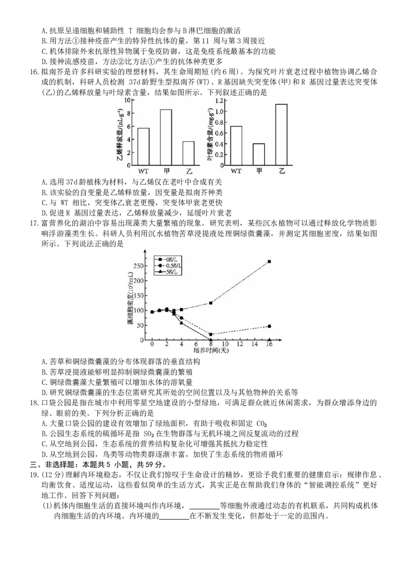 河北省强基联盟2025-2026学年高二上学期12月期中生物试题（含答案）_251217河北省强基联盟2025-2026学年高二上学期12月期中（全）