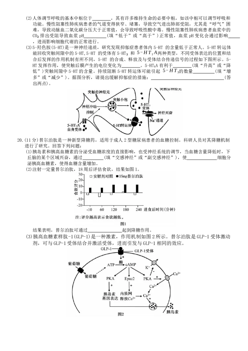 河北省强基联盟2025-2026学年高二上学期12月期中生物试题（含答案）_251217河北省强基联盟2025-2026学年高二上学期12月期中（全）