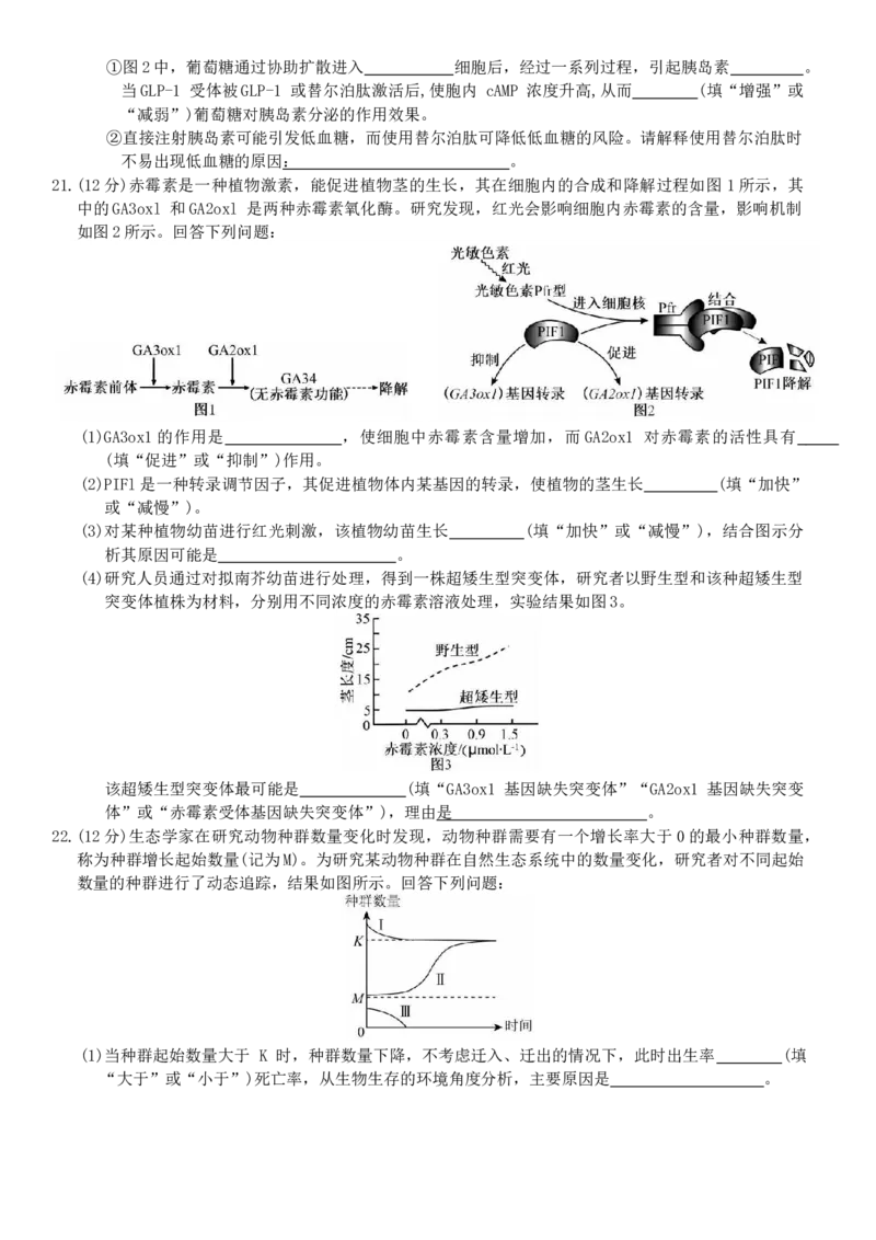 河北省强基联盟2025-2026学年高二上学期12月期中生物试题（含答案）_251217河北省强基联盟2025-2026学年高二上学期12月期中（全）