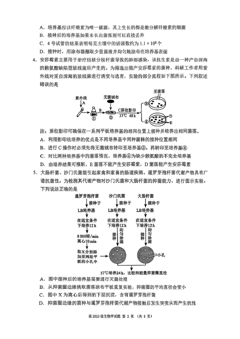 四川省川南地区名校2024-2025学年高二下学期4月期中生物试卷（图片版，含答案）_2024-2025高二（7-7月题库）_2025年6月试卷_0602四川省川南地区名校2024-2025学年高二下学期4月期中考试