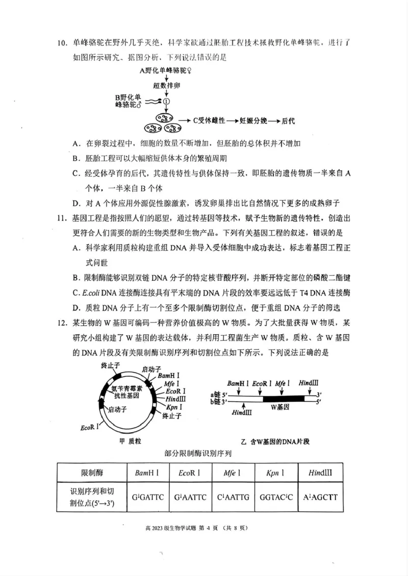 四川省川南地区名校2024-2025学年高二下学期4月期中生物试卷（图片版，含答案）_2024-2025高二（7-7月题库）_2025年6月试卷_0602四川省川南地区名校2024-2025学年高二下学期4月期中考试
