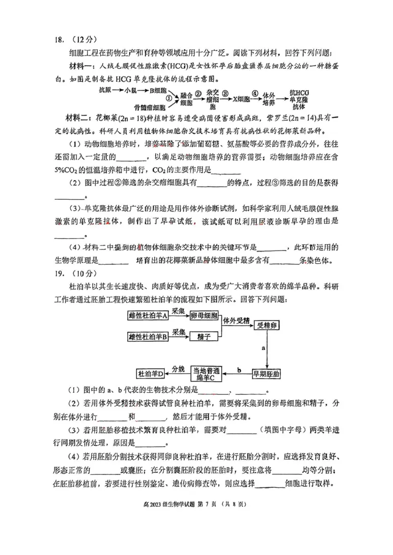 四川省川南地区名校2024-2025学年高二下学期4月期中生物试卷（图片版，含答案）_2024-2025高二（7-7月题库）_2025年6月试卷_0602四川省川南地区名校2024-2025学年高二下学期4月期中考试