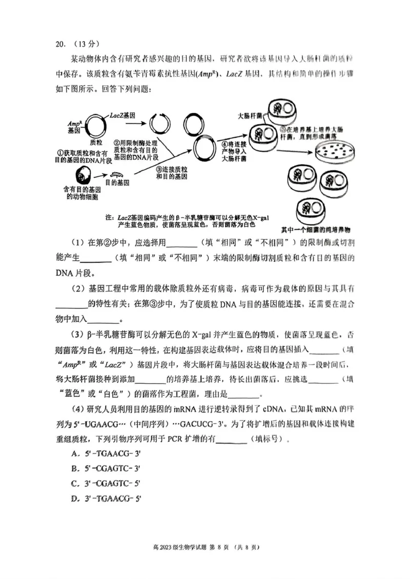 四川省川南地区名校2024-2025学年高二下学期4月期中生物试卷（图片版，含答案）_2024-2025高二（7-7月题库）_2025年6月试卷_0602四川省川南地区名校2024-2025学年高二下学期4月期中考试