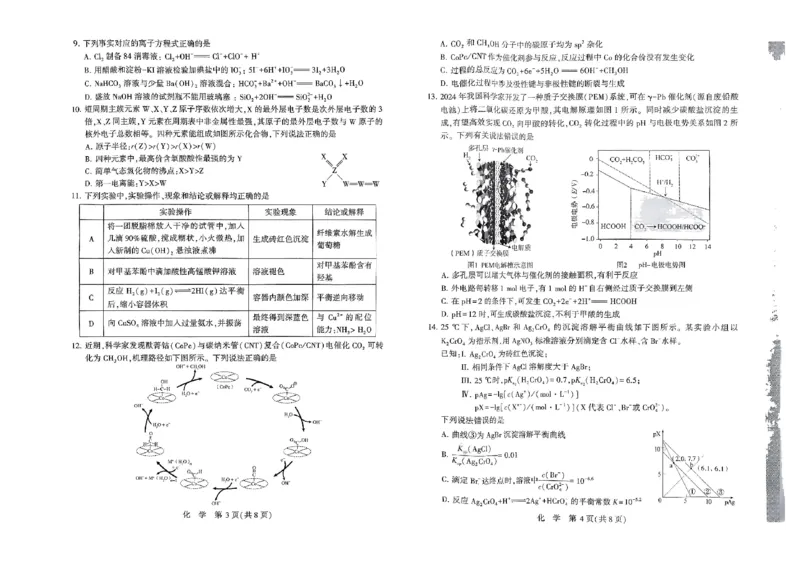 化学XPL_2024-2025高三（6-6月题库）_2024年11月试卷_1101河南省豫西北教研联盟（许洛平）2025届高三上学期第一次质量检测