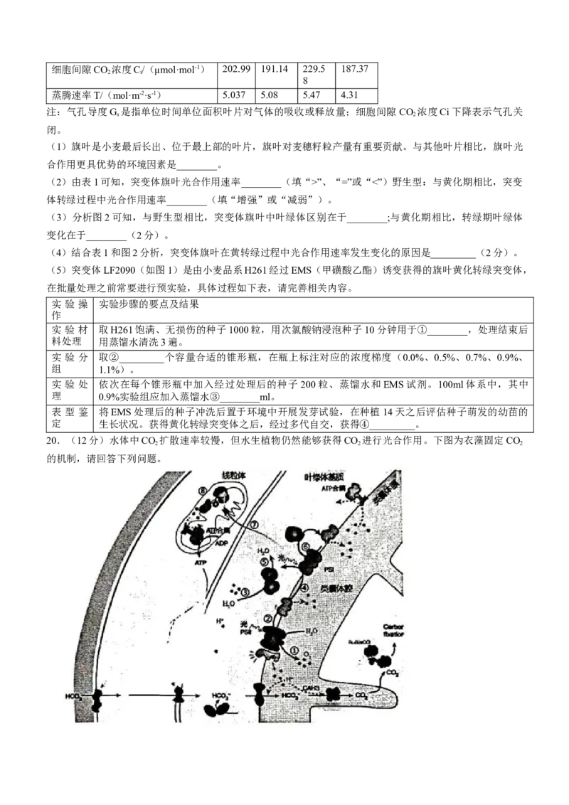 江苏省常州市2024届高三上学期期中学业水平监测生物(1)_2023年11月_01每日更新_11号_2024届江苏省常州市高三上学期期中学业水平监测