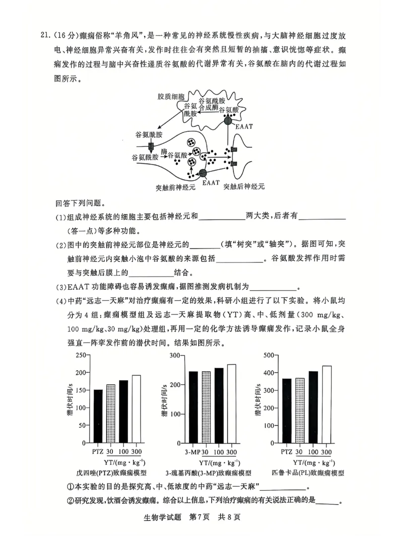 T8联考2025届高三12月生物试卷_2024-2025高三（6-6月题库）_2024年12月试卷_12142025届全国T8（八省八校）高三12月联合测评_生物