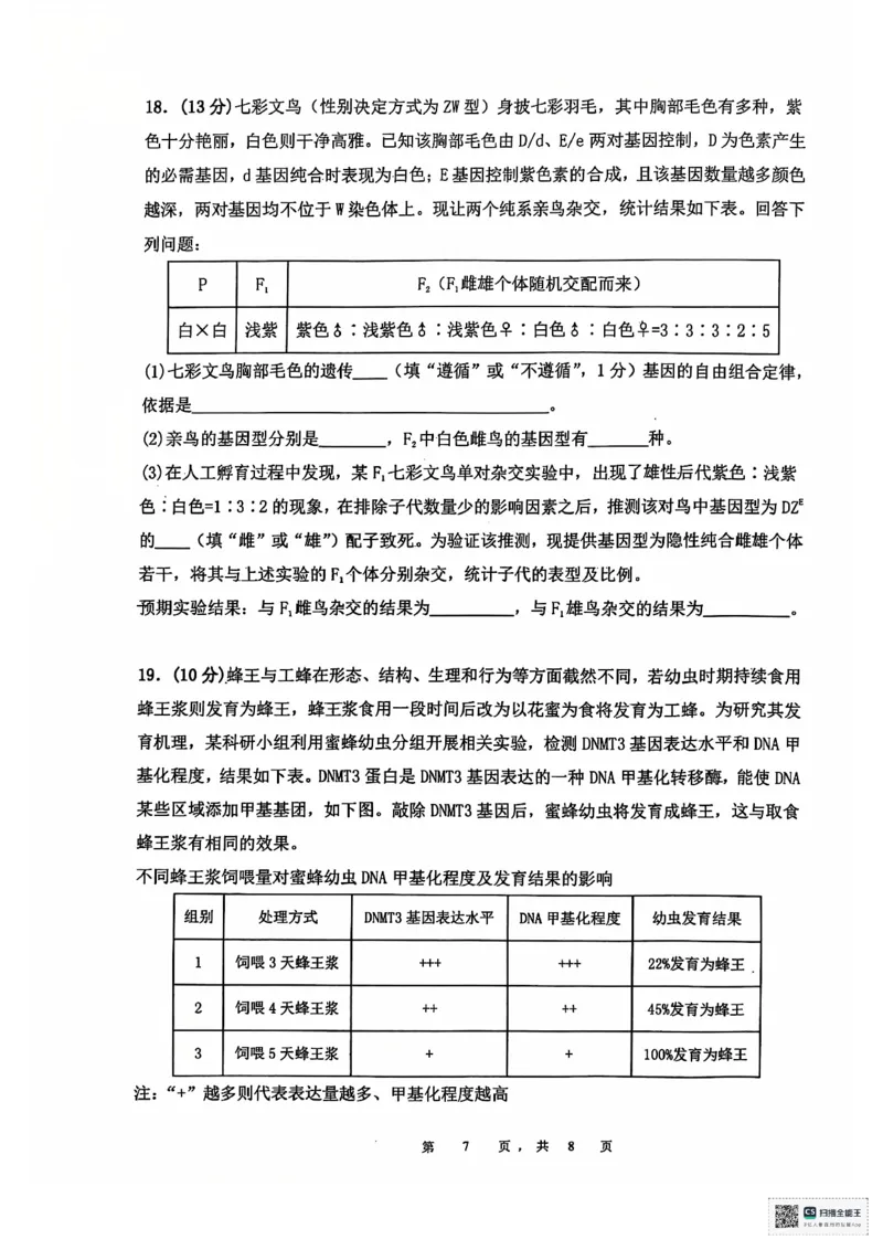 安徽省六安第二中学2024-2025学年高三上学期12月月考生物试题+答案_2024-2025高三（6-6月题库）_2024年12月试卷_1229安徽省六安第二中学2024-2025学年高三上学期12月第四次月考试题（全科）