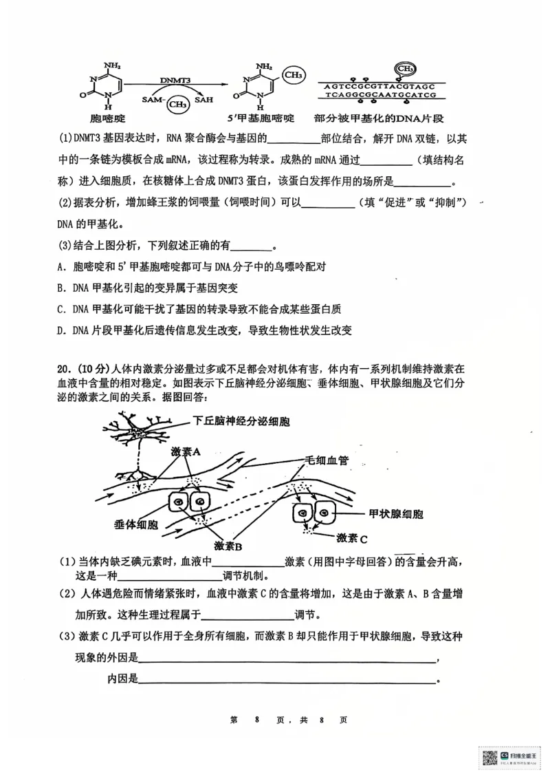 安徽省六安第二中学2024-2025学年高三上学期12月月考生物试题+答案_2024-2025高三（6-6月题库）_2024年12月试卷_1229安徽省六安第二中学2024-2025学年高三上学期12月第四次月考试题（全科）