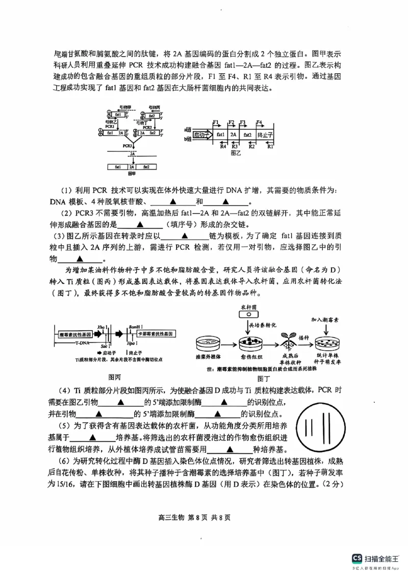 江苏省苏州市2024-2025学年高三上学期期初阳光调研生物+答案_2024-2025高三（6-6月题库）_2024年09月试卷_0922江苏省苏州市2024-2025学年高三上学期期初阳光调研