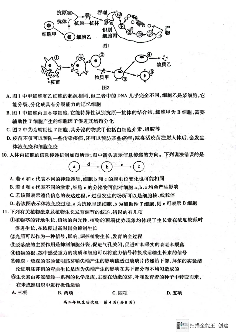 河南省南阳市六校联考2024-2025学年高二上学期12月月考生物试题_2024-2025高二（7-7月题库）_2024年12月试卷_1222河南省南阳市2024年秋期高二年级六校第二次联考