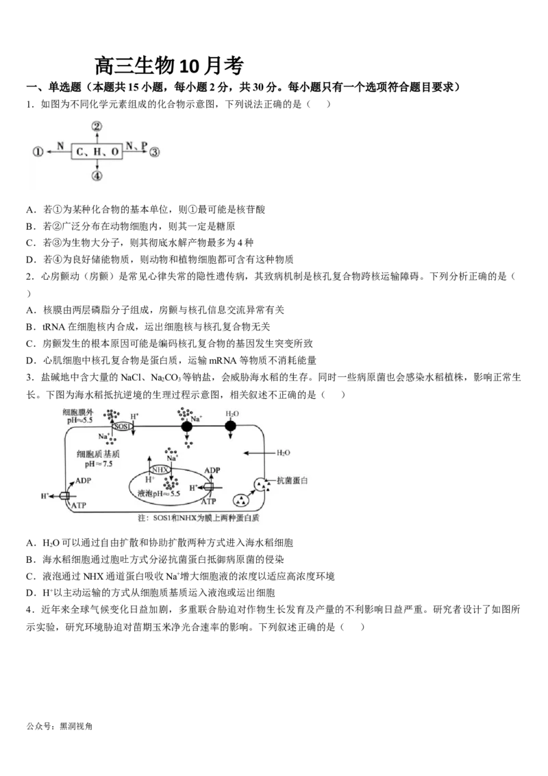 吉林省通化市梅河口市第五中学2024-2025学年高三上学期10月月考试题生物Word版含答案_2024-2025高三（6-6月题库）_2024年10月试卷