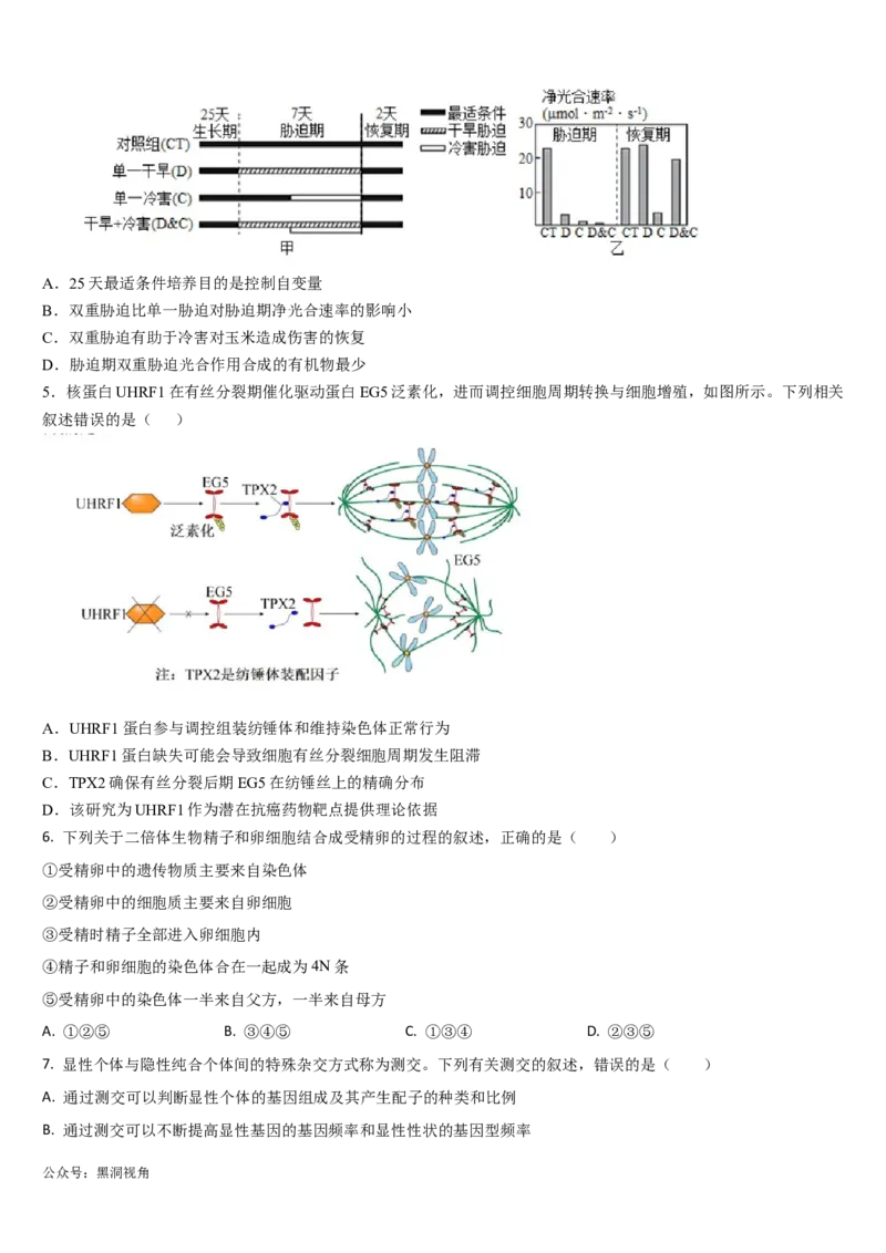 吉林省通化市梅河口市第五中学2024-2025学年高三上学期10月月考试题生物Word版含答案_2024-2025高三（6-6月题库）_2024年10月试卷