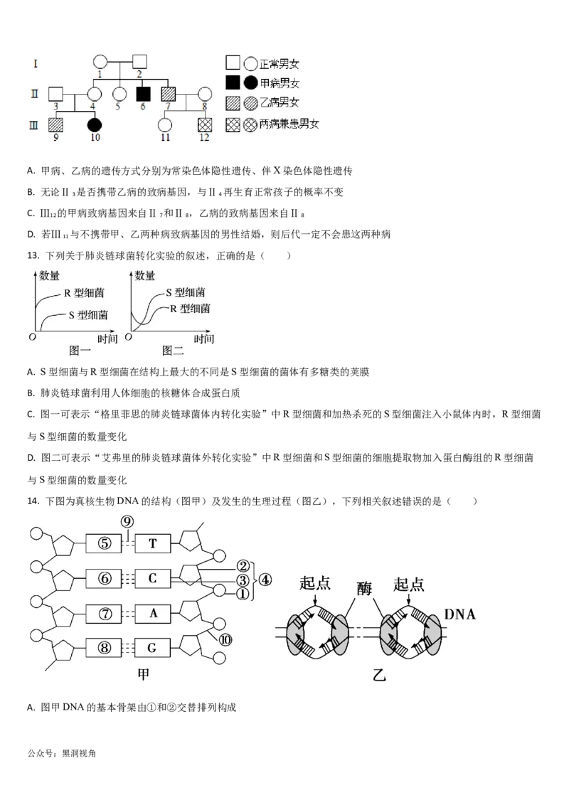 吉林省通化市梅河口市第五中学2024-2025学年高三上学期10月月考试题生物Word版含答案_2024-2025高三（6-6月题库）_2024年10月试卷