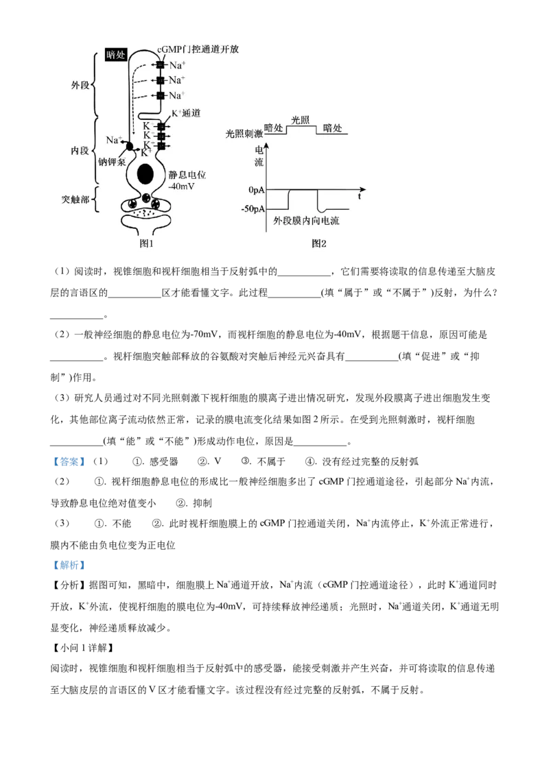 江西省抚州市2024--2025学年高二上学期期末统考生物试题Word版含解析_2024-2025高二（7-7月题库）_2025年03月试卷_0316江西省抚州市2024-2025学年高二上学期期末考试