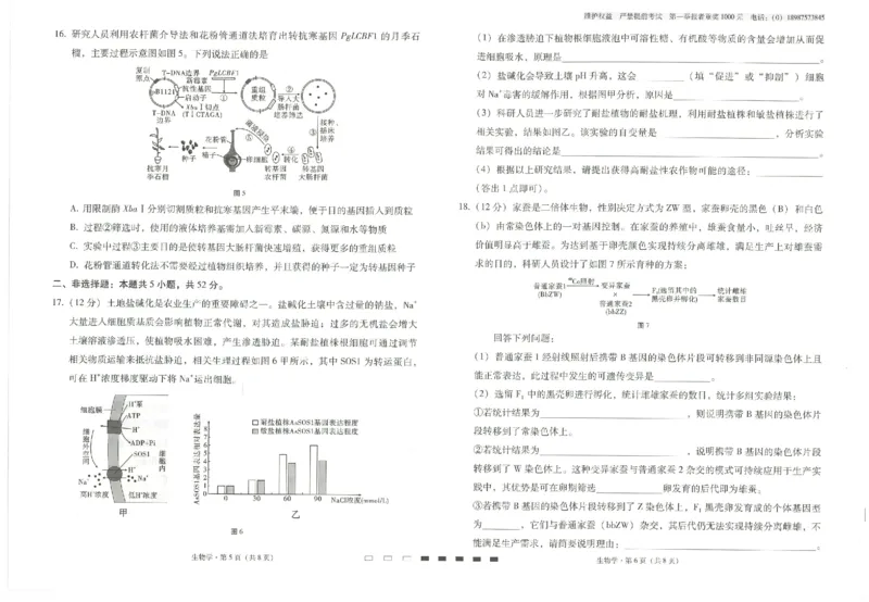 云南省云南师范大学附属中学2024-2025学年高考适应性月考卷（五）生物_2024-2025高三（6-6月题库）_2024年11月试卷_1111云南省云南师范大学附属中学2024-2025学年高考适应性月考卷（五）