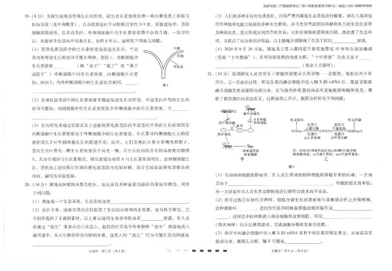 云南省云南师范大学附属中学2024-2025学年高考适应性月考卷（五）生物_2024-2025高三（6-6月题库）_2024年11月试卷_1111云南省云南师范大学附属中学2024-2025学年高考适应性月考卷（五）