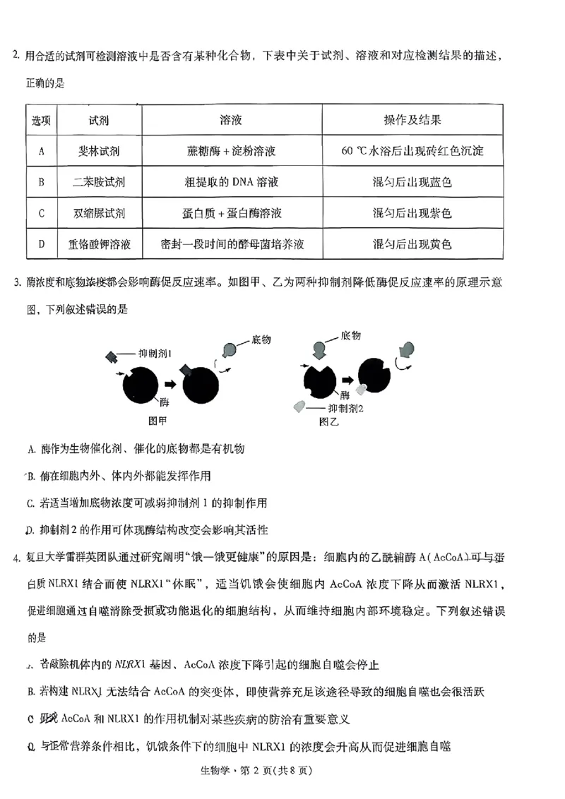 昆明市第一中学2026届高三年级第五次联考生物+答案_2024-2025高三（6-6月题库）_2026年1月高三_260112云南省昆明市第一中学2026届高三年级第五次联考（全科）
