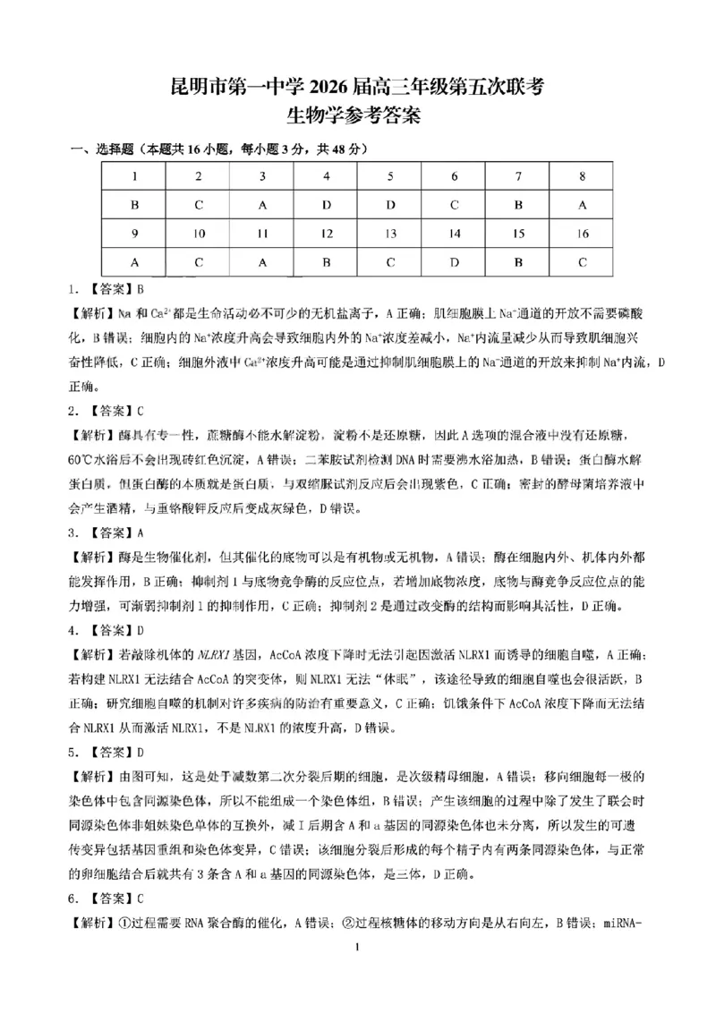 昆明市第一中学2026届高三年级第五次联考生物+答案_2024-2025高三（6-6月题库）_2026年1月高三_260112云南省昆明市第一中学2026届高三年级第五次联考（全科）