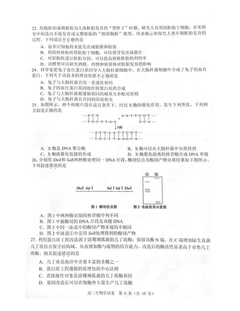 大湾区2023-2024学年第二学期期末联合考试高二生物_2024-2025高三（6-6月题库）_2024年07月试卷_240712广东省大湾区2023-2024学年高二下学期期末考试（珠海高二期末考)