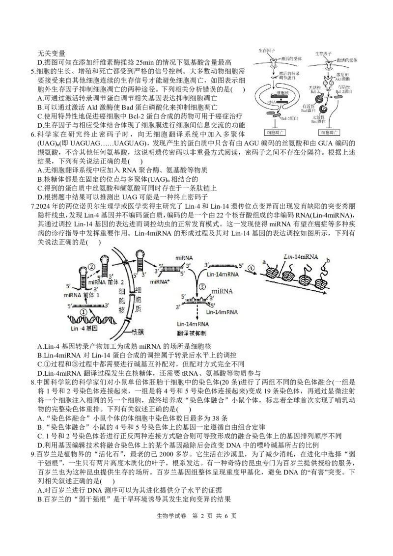 四川省名校联盟2025届高三12月联考生物_2024-2025高三（6-6月题库）_2024年12月试卷_1218四川省名校联盟2025届高三12月联考试卷（全科）