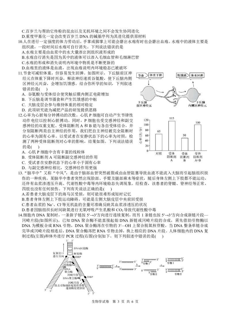 四川省名校联盟2025届高三12月联考生物_2024-2025高三（6-6月题库）_2024年12月试卷_1218四川省名校联盟2025届高三12月联考试卷（全科）