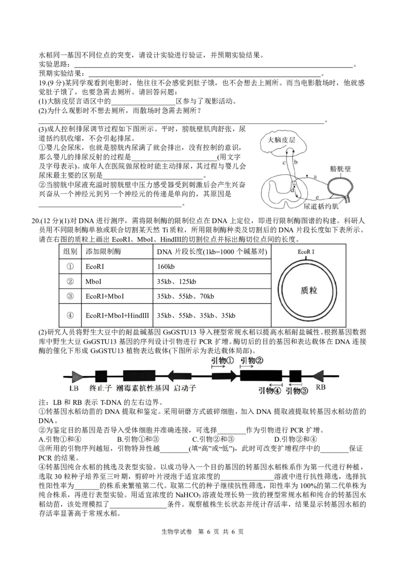 四川省名校联盟2025届高三12月联考生物_2024-2025高三（6-6月题库）_2024年12月试卷_1218四川省名校联盟2025届高三12月联考试卷（全科）