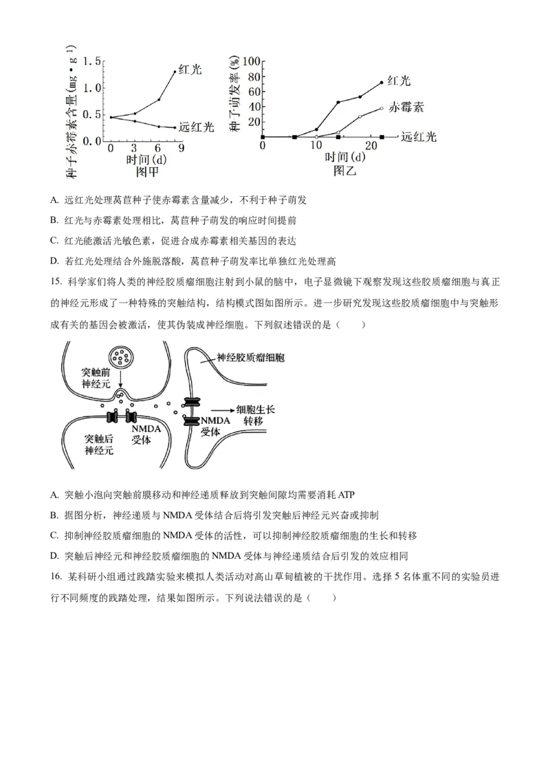 广西壮族自治区百色市2024-2025学年高二上学期1月期末生物试题Word版无答案_2024-2025高二（7-7月题库）_2025年03月试卷_0308广西壮族自治区百色市2024-2025学年高二上学期1月期末考试