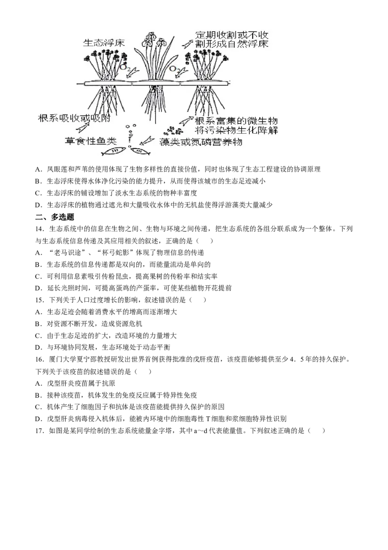 河北省邯郸市大名县第一中学2024-2025学年高二下学期开学考试生物学试题（含答案）_2024-2025高二（7-7月题库）_2025年03月试卷