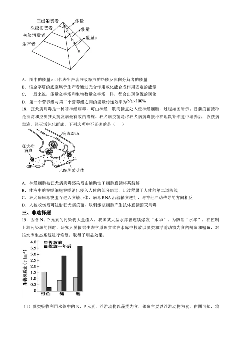 河北省邯郸市大名县第一中学2024-2025学年高二下学期开学考试生物学试题（含答案）_2024-2025高二（7-7月题库）_2025年03月试卷