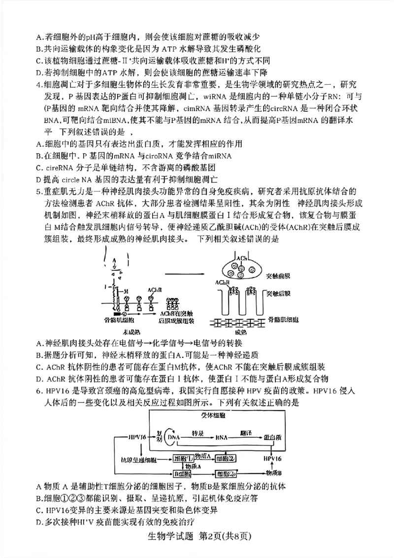 生物学试卷_2024年3月_013月合集_2024届安徽省示范高中皖北协作区第26届高三联考_2024年安徽省示范高中皖北协作区第26届高三联考生物
