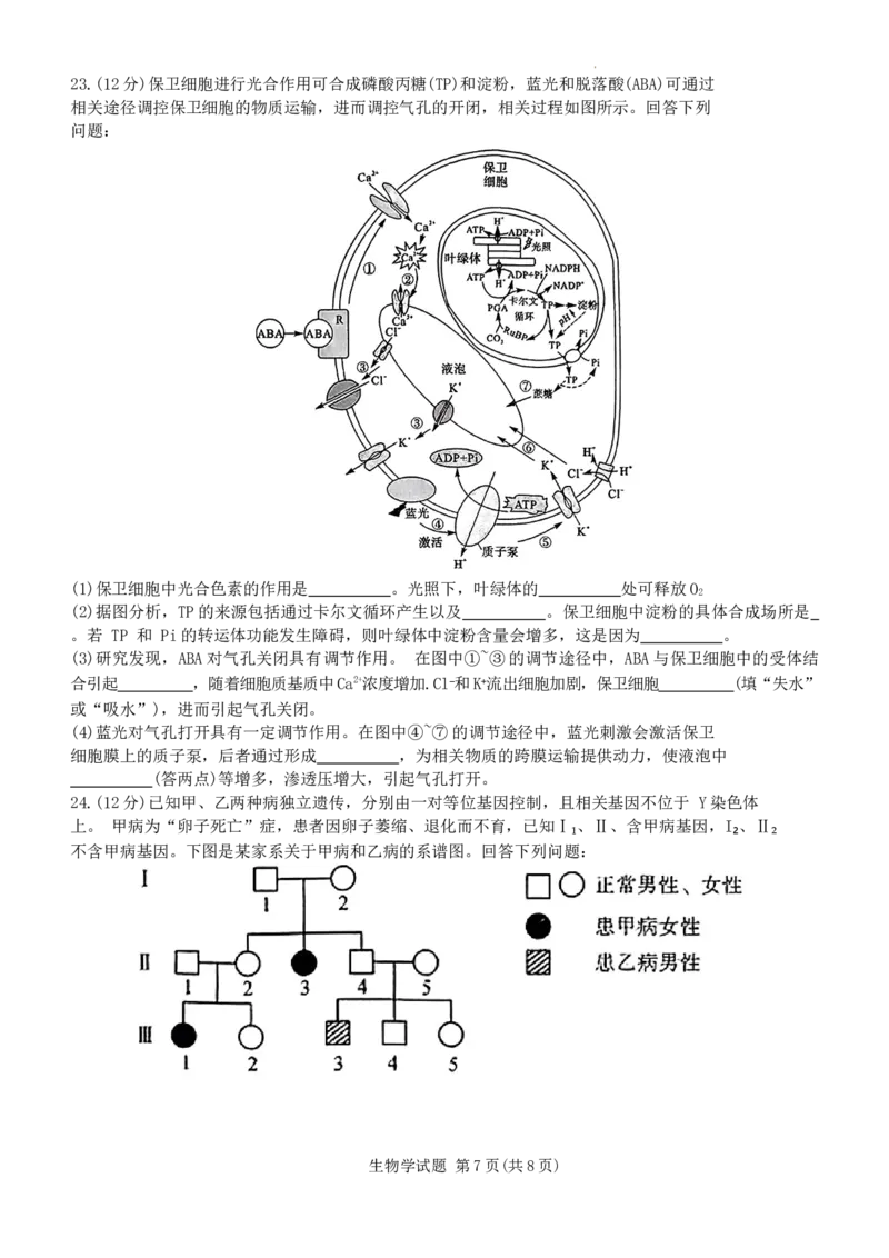 生物11月联考(1)_2023年11月_0211月合集_2024届河南省金科新未来11月联考_河南省2024届金科新未来11月联考生物