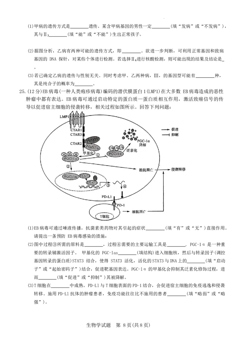 生物11月联考(1)_2023年11月_0211月合集_2024届河南省金科新未来11月联考_河南省2024届金科新未来11月联考生物