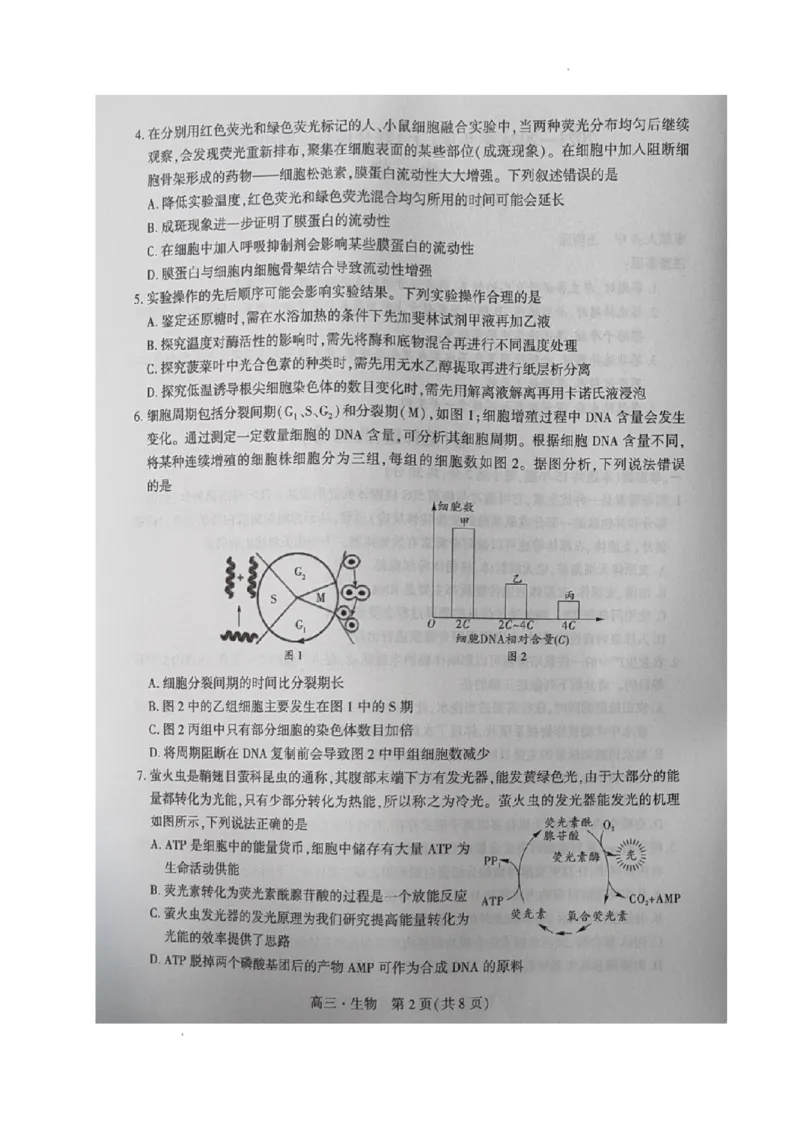 辽宁省沈阳市重点高中联合体2023-2024学年高三上学期期中考试生物试题(1)_2023年11月_0211月合集_2024届辽宁省沈阳市重点高中联合体高三上学期11月期中检测