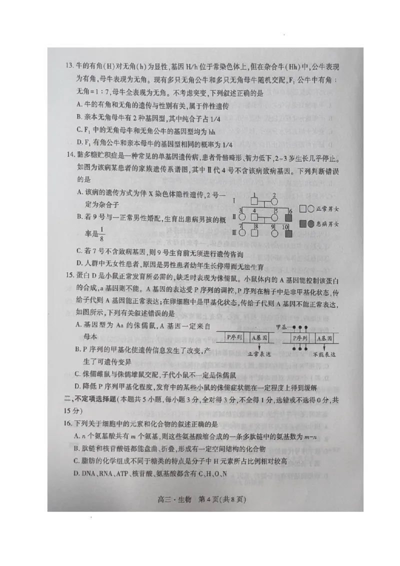 辽宁省沈阳市重点高中联合体2023-2024学年高三上学期期中考试生物试题(1)_2023年11月_0211月合集_2024届辽宁省沈阳市重点高中联合体高三上学期11月期中检测