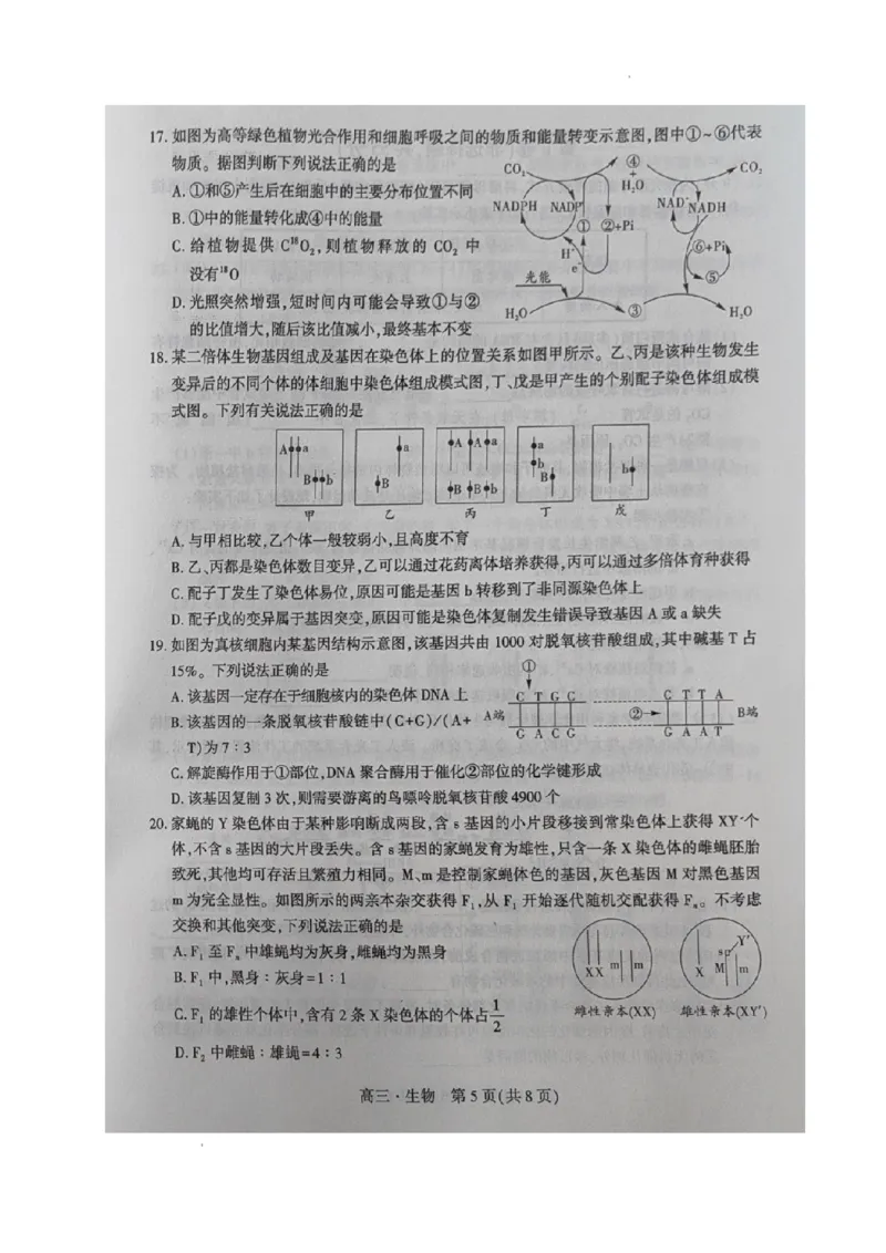 辽宁省沈阳市重点高中联合体2023-2024学年高三上学期期中考试生物试题(1)_2023年11月_0211月合集_2024届辽宁省沈阳市重点高中联合体高三上学期11月期中检测