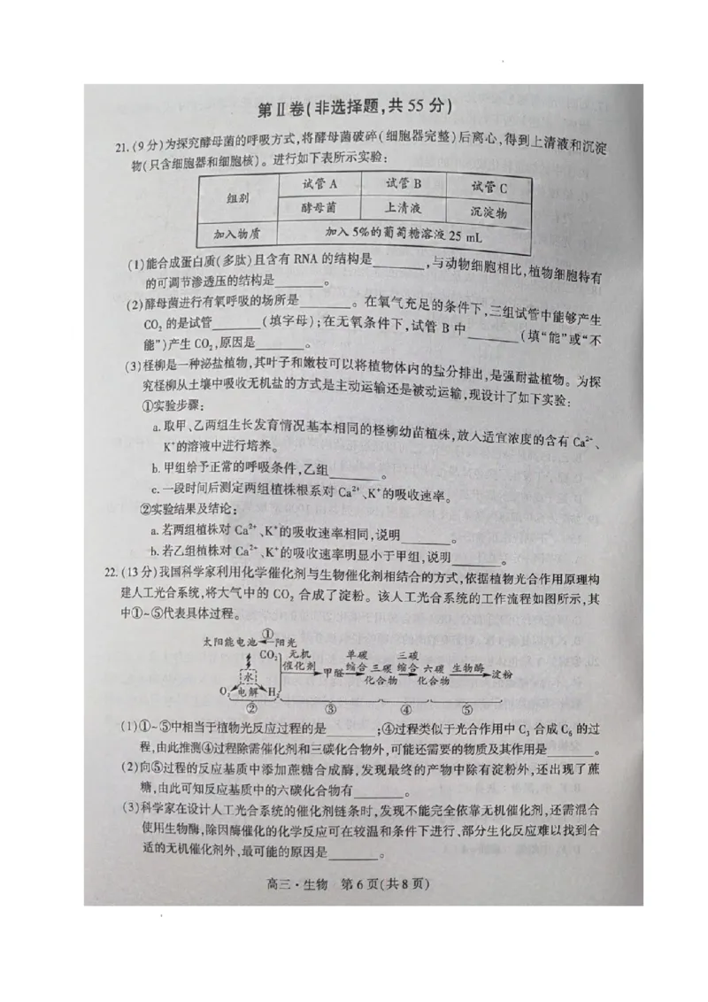 辽宁省沈阳市重点高中联合体2023-2024学年高三上学期期中考试生物试题(1)_2023年11月_0211月合集_2024届辽宁省沈阳市重点高中联合体高三上学期11月期中检测