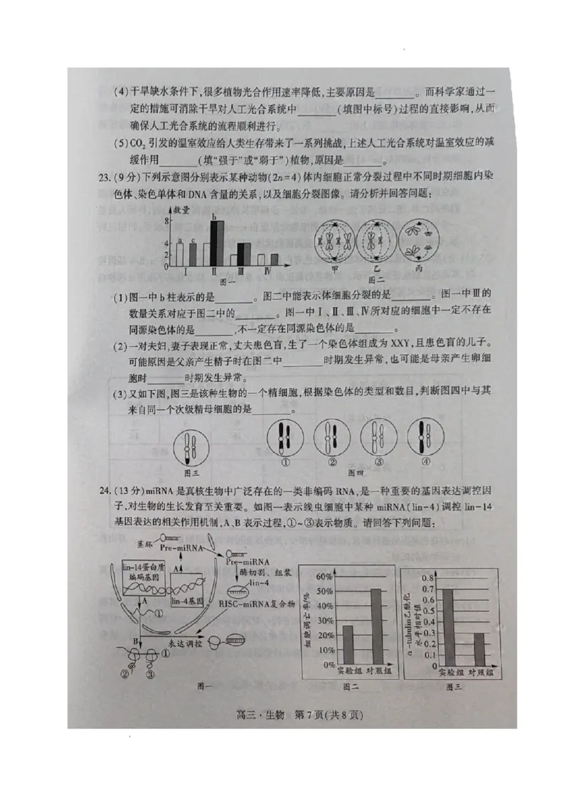 辽宁省沈阳市重点高中联合体2023-2024学年高三上学期期中考试生物试题(1)_2023年11月_0211月合集_2024届辽宁省沈阳市重点高中联合体高三上学期11月期中检测